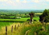 Public Highway in a field