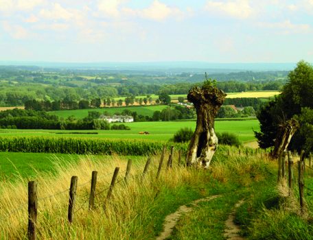 Public Highway in a field