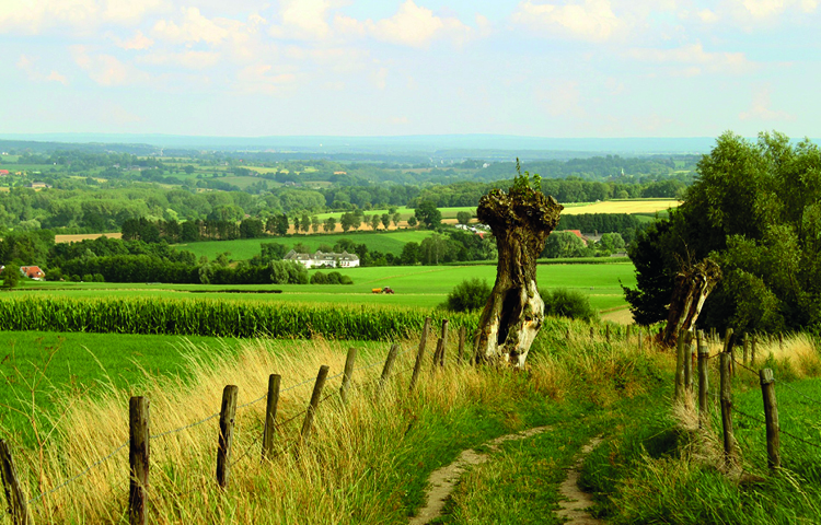 Public Highway in a field