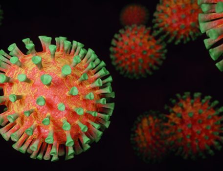 Image of virus for log Covid blog
