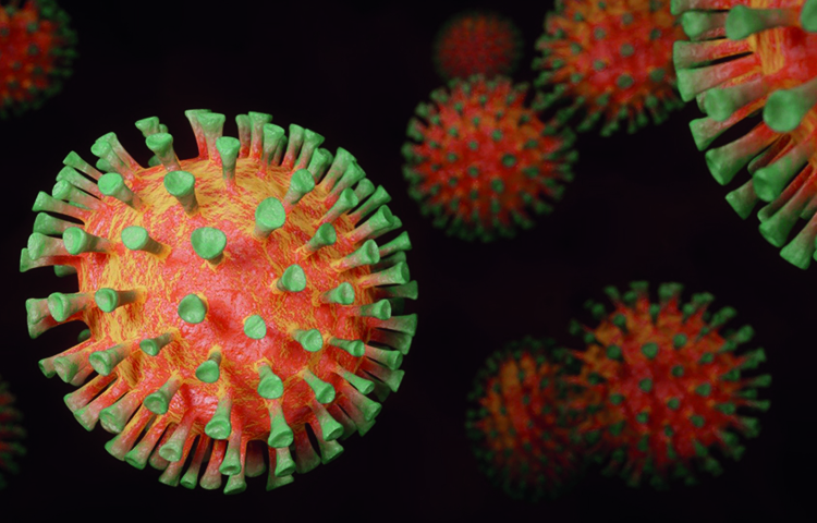 Image of virus for log Covid blog