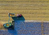 Image of tractor in field harvesting for Proprietary Estoppel Blog