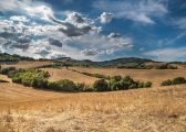 Golden Fields and green hills with blue sky and fluffy clouds for Conservation Covenant Blog