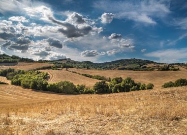 Golden Fields and green hills with blue sky and fluffy clouds for Conservation Covenant Blog