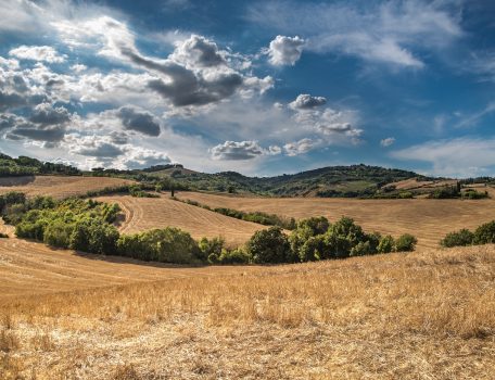 Golden Fields and green hills with blue sky and fluffy clouds for Conservation Covenant Blog