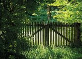 image of garden fence with Overhanging Branches for the Overhanging Branches and Garden Disputes blog