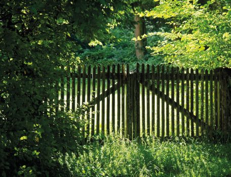 image of garden fence with Overhanging Branches for the Overhanging Branches and Garden Disputes blog